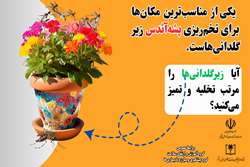 یکی از مناسب‌ترین مکان‌ها برای تخم‌ریزی پشه آئدس زیر گلدانی هستند.