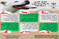 حذف هاری با واکسیناسیون سگ‌ها